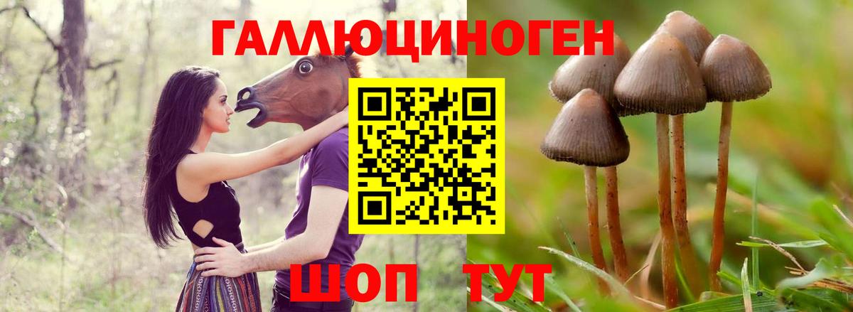 Галлюциногенные грибы Psilocybine cubensis  Галлюциногенные грибы MAGIC MUSHROOMS  Верхняя Пышма  Вход с VPN 