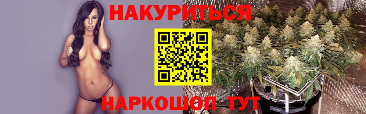 Бошки марихуана сатива  Вход с VPN  Шишки марихуана Ganja  Марихуана индика  Верхняя Пышма  МАРИХУАНА марихуана 